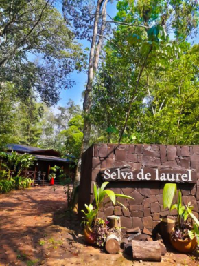  Selva de Laurel  Пуэрто-Игуасу
